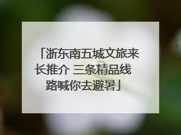浙东南五城文旅来长推介 三条精品线路喊你去避暑