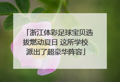 浙江体彩足球宝贝选拔燃动夏日 这所学校派出了超豪华阵容
