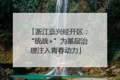 浙江嘉兴经开区：“统战+”为基层治理注入青春动力