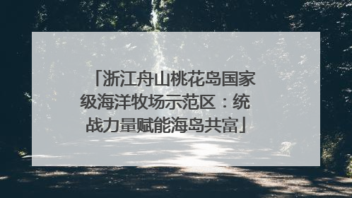 浙江舟山桃花岛国家级海洋牧场示范区：统战力量赋能海岛共富