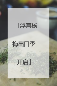 浮宫杨梅出口季开启