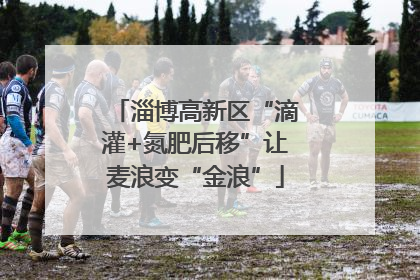 淄博高新区“滴灌+氮肥后移”让麦浪变“金浪”
