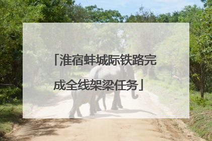 淮宿蚌城际铁路完成全线架梁任务