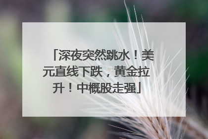 深夜突然跳水！美元直线下跌，黄金拉升！中概股走强