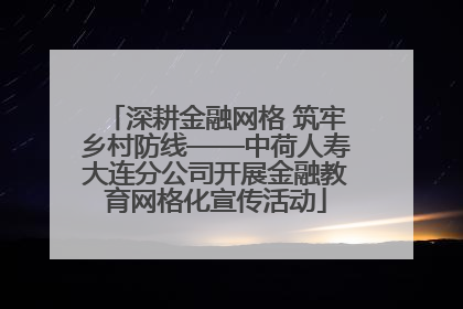 深耕金融网格 筑牢乡村防线——中荷人寿大连分公司开展金融教育网格化宣传活动