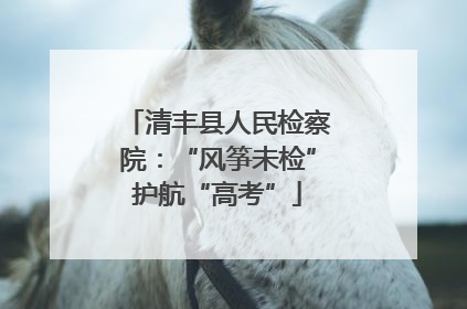清丰县人民检察院：“风筝未检”护航“高考”