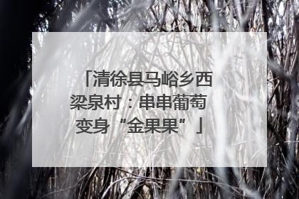 清徐县马峪乡西梁泉村：串串葡萄变身“金果果”