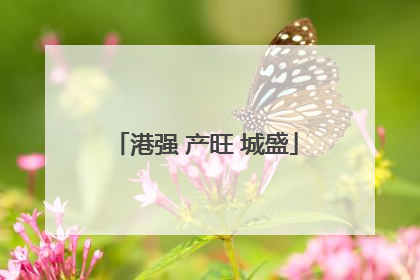 港强 产旺 城盛