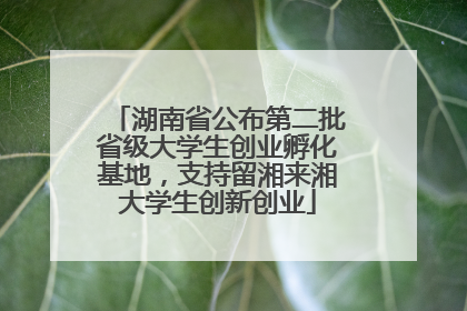 湖南省公布第二批省级大学生创业孵化基地，支持留湘来湘大学生创新创业