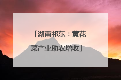 湖南祁东：黄花菜产业助农增收