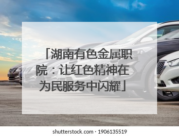 湖南有色金属职院：让红色精神在为民服务中闪耀