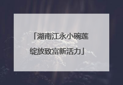 湖南江永小碗莲绽放致富新活力