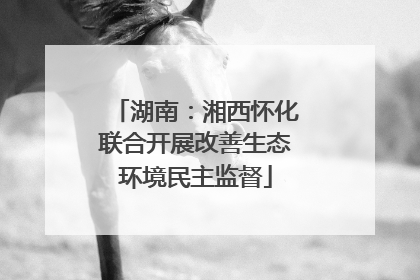 湖南：湘西怀化联合开展改善生态环境民主监督