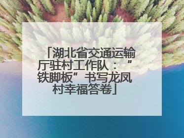 湖北省交通运输厅驻村工作队：“铁脚板”书写龙凤村幸福答卷