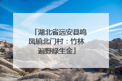 湖北省远安县鸣凤镇北门村：竹林遍野绿生金