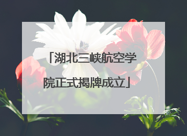 湖北三峡航空学院正式揭牌成立