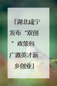 湖北咸宁发布“双创”政策包 广邀英才返乡创业