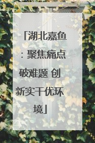 湖北嘉鱼：聚焦痛点破难题 创新实干优环境