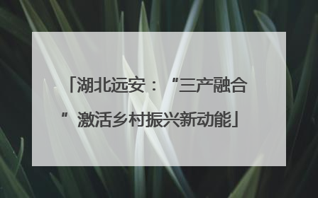 湖北远安：“三产融合”激活乡村振兴新动能