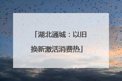 湖北通城：以旧换新激活消费热