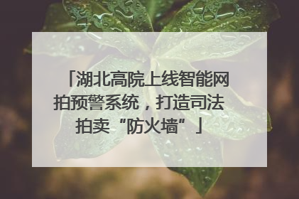 湖北高院上线智能网拍预警系统，打造司法拍卖“防火墙”