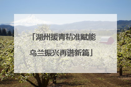 湖州援青精准赋能 乌兰振兴再谱新篇