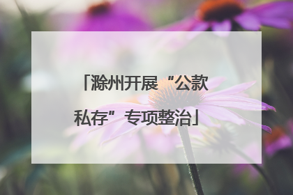 滁州开展“公款私存”专项整治