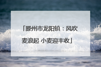 滕州市龙阳镇：风吹麦浪起 小麦迎丰收
