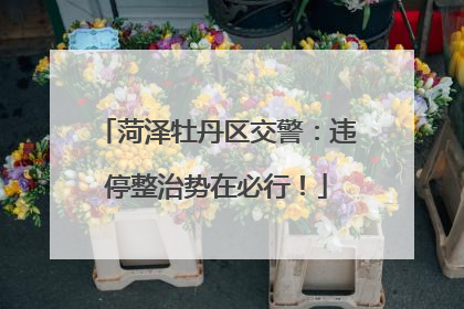 菏泽牡丹区交警：违停整治势在必行！