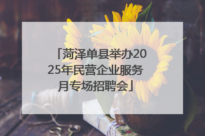 菏泽单县举办2025年民营企业服务月专场招聘会
