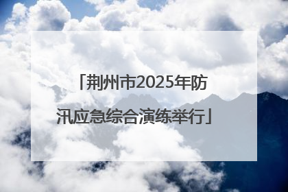 荆州市2025年防汛应急综合演练举行