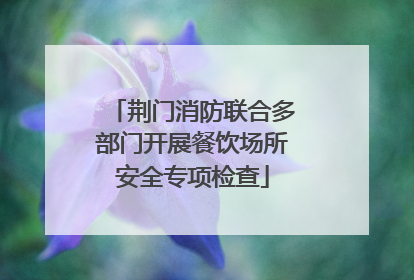 荆门消防联合多部门开展餐饮场所安全专项检查