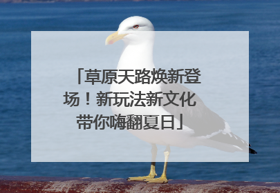 草原天路焕新登场！新玩法新文化带你嗨翻夏日