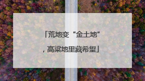 荒地变“金土地”，高粱地里藏希望