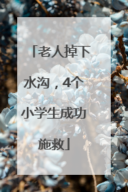 老人掉下水沟，4个小学生成功施救