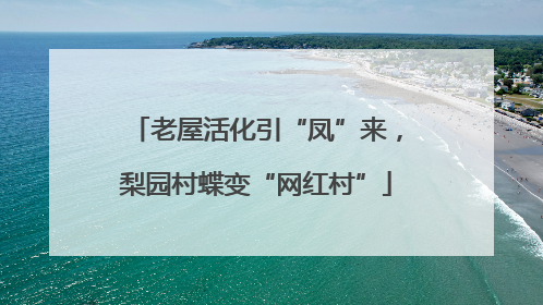 老屋活化引“凤”来，梨园村蝶变“网红村”