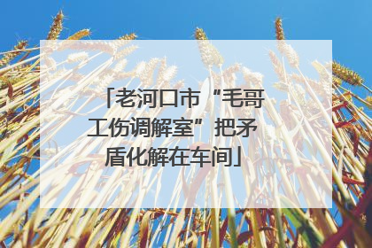 老河口市“毛哥工伤调解室”把矛盾化解在车间