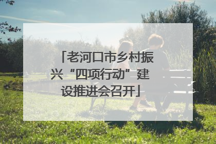 老河口市乡村振兴“四项行动”建设推进会召开
