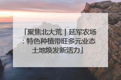 聚焦北大荒｜延军农场：特色种植带旺多元业态 土地焕发新活力