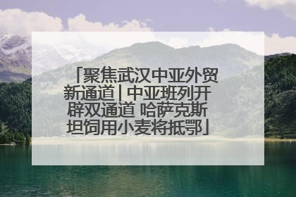 聚焦武汉中亚外贸新通道│中亚班列开辟双通道 哈萨克斯坦饲用小麦将抵鄂