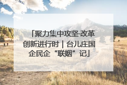 聚力集中攻坚·改革创新进行时｜台儿庄国企民企“联姻”记