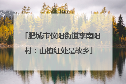 肥城市仪阳街道李南阳村：山楂红处是故乡