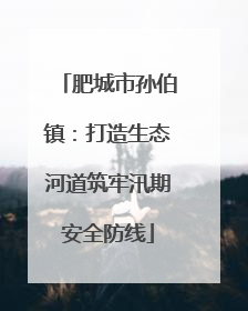 肥城市孙伯镇：打造生态河道筑牢汛期安全防线