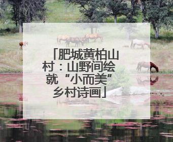 肥城黄柏山村：山野间绘就“小而美”乡村诗画