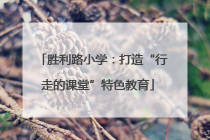 胜利路小学：打造“行走的课堂”特色教育