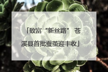 致富“新丝路” 苍溪县首批蚕茧迎丰收