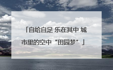 自给自足 乐在其中 城市里的空中“田园梦”