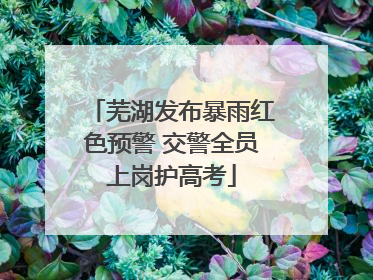 芜湖发布暴雨红色预警 交警全员上岗护高考