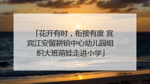 花开有时，衔接有度 宜宾江安留耕镇中心幼儿园组织大班萌娃走进小学