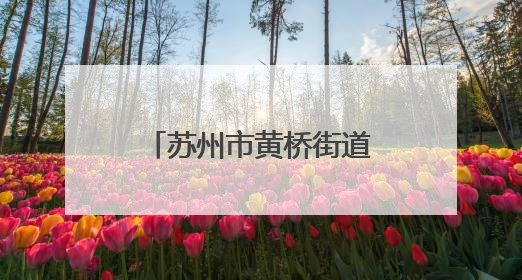 苏州市黄桥街道占上社区为新业态群体送上“流动的温暖”！